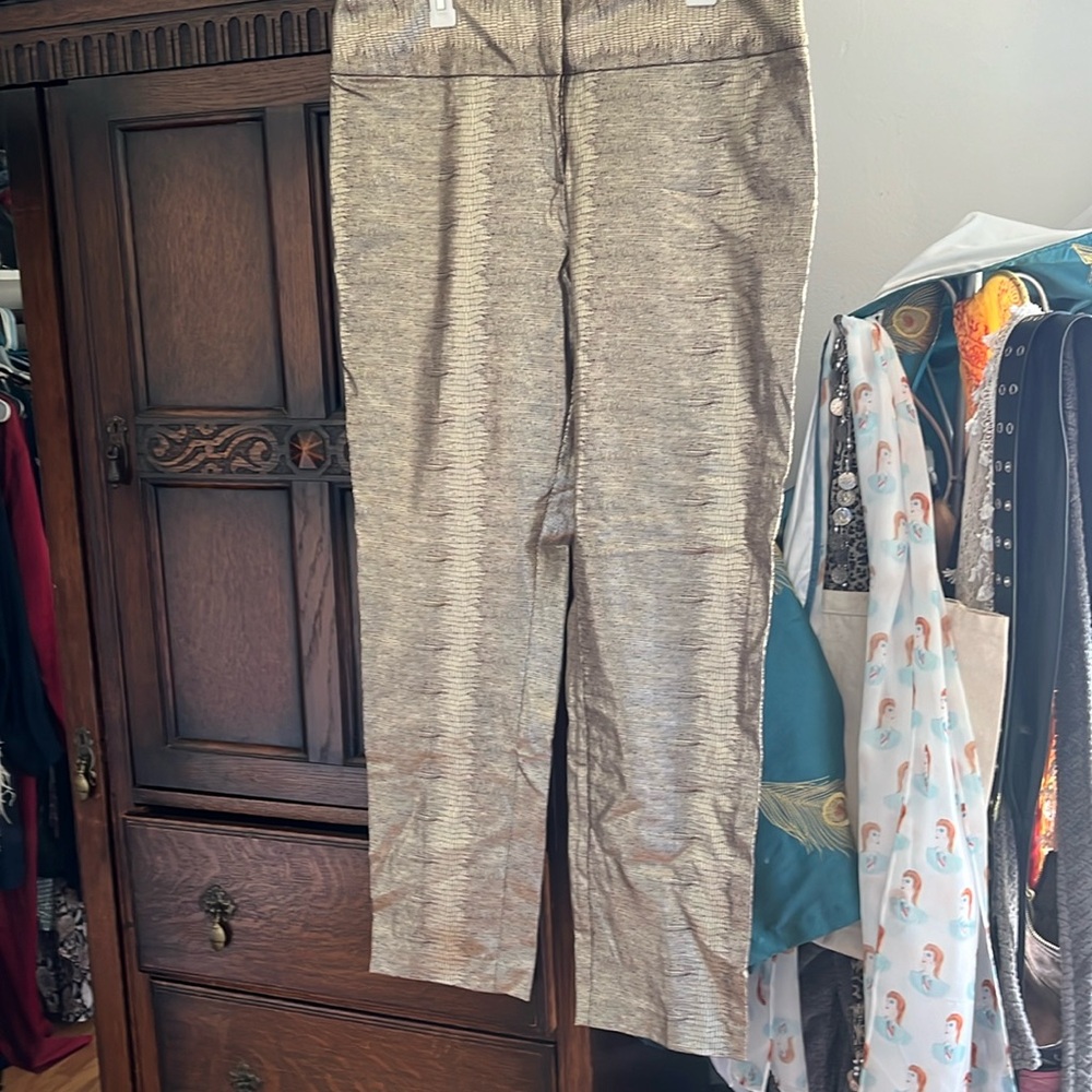 Sparkling gold, pull on metallic, snake print, cigarette pants, with pockets.